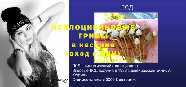 ECSTASY Абинск