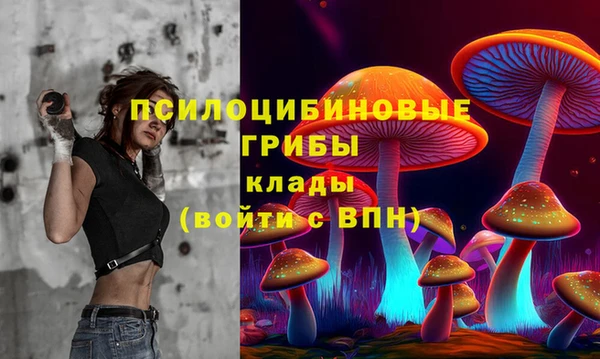 ECSTASY Абинск