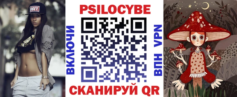 omg рабочий сайт  Яровое  Галлюциногенные грибы Psilocybe 